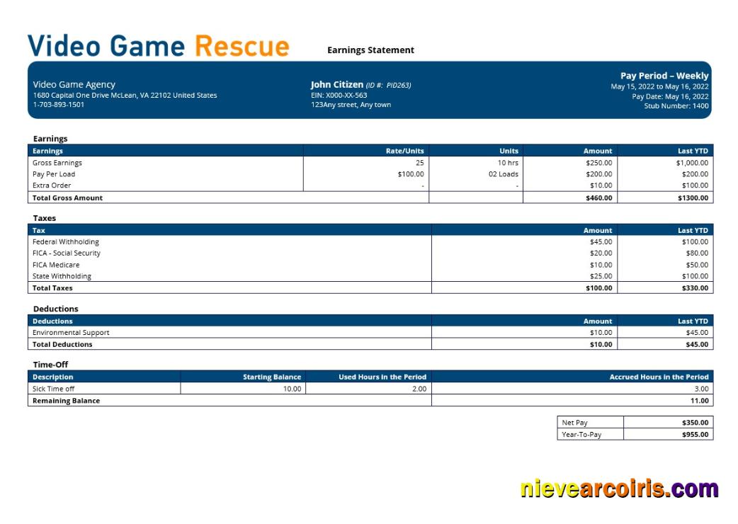 video game company paystub